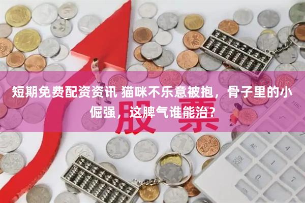 短期免费配资资讯 猫咪不乐意被抱，骨子里的小倔强，这脾气谁能治？