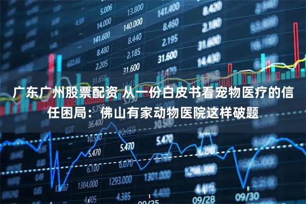 广东广州股票配资 从一份白皮书看宠物医疗的信任困局:佛山有家动物医院这样破题