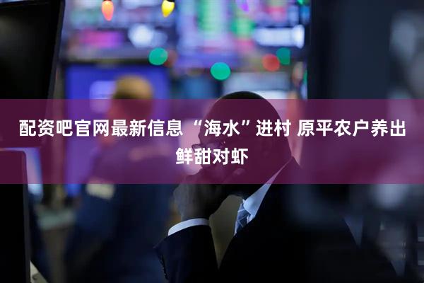 配资吧官网最新信息 “海水”进村 原平农户养出鲜甜对虾