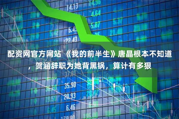 配资网官方网站 《我的前半生》唐晶根本不知道，贺涵辞职为她背黑锅，算计有多狠